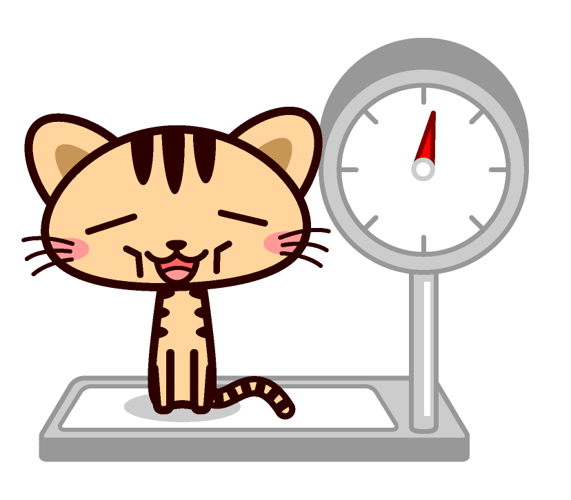 体重を測る猫イラスト 痩せすぎ 猫 動物 素材のプチッチ