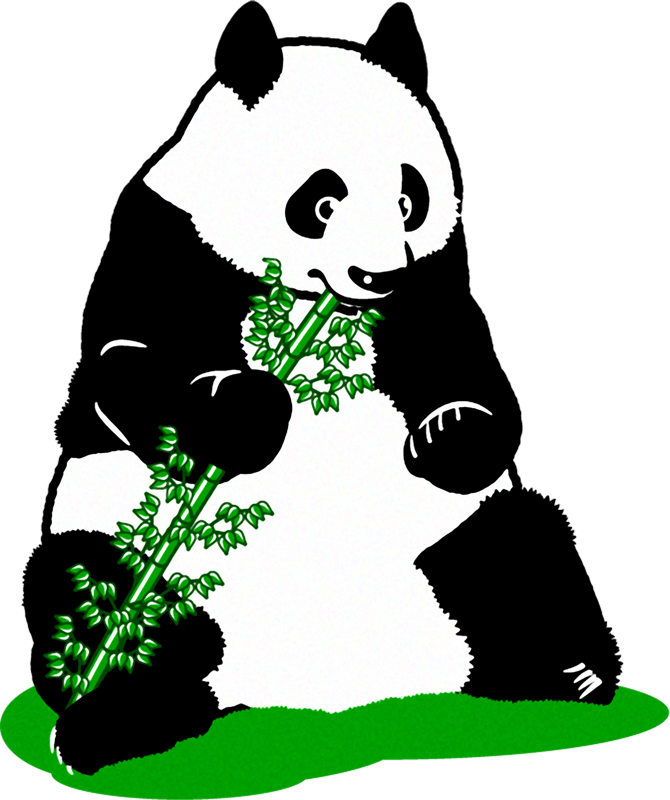 パンダのイラスト/笹を食べる