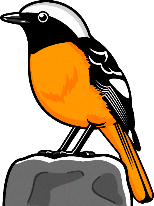 ジョウビタキのイラスト 鳥 素材のプチッチ