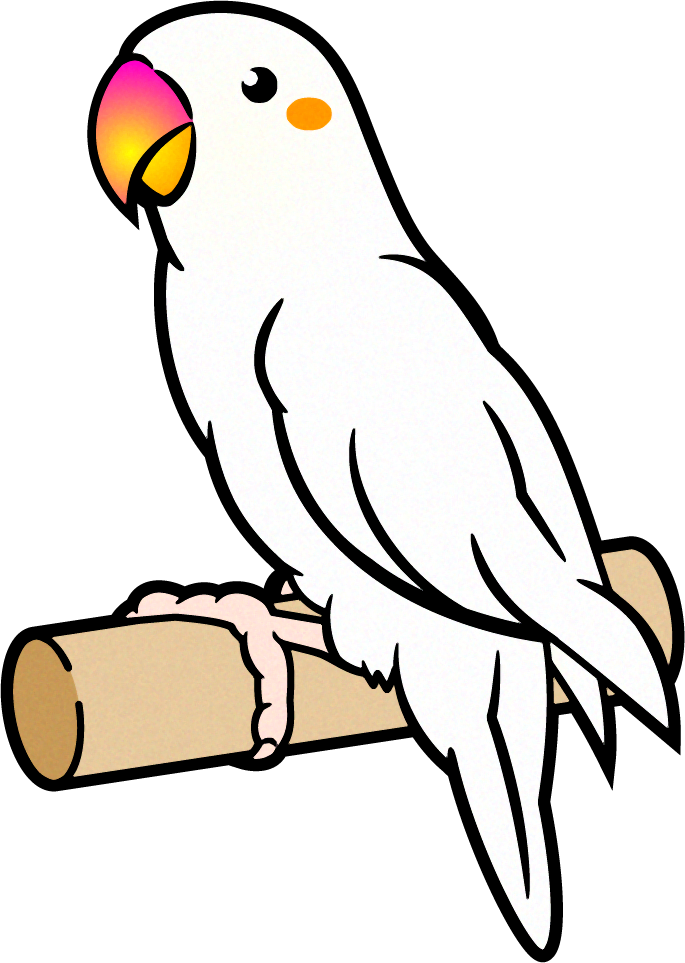セキセイインコのイラスト 白 セキセイインコ 鳥 素材のプチッチ