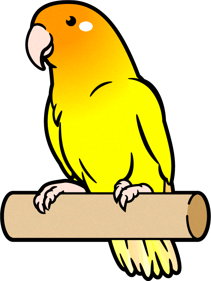 セキセイインコのイラスト 黄色 セキセイインコ 鳥 素材のプチッチ