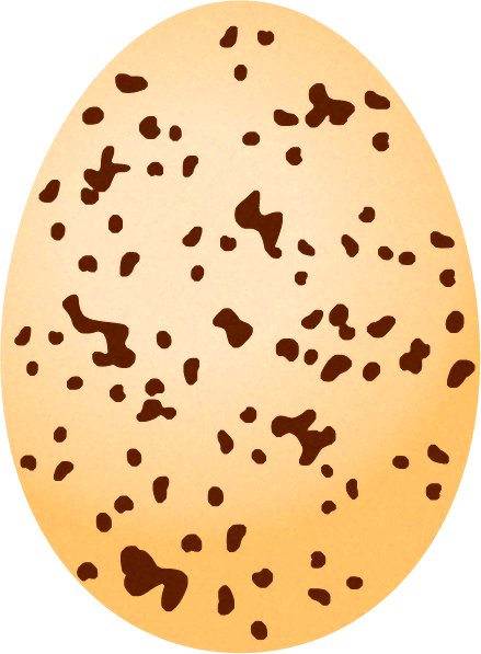 ツバメの卵イラスト