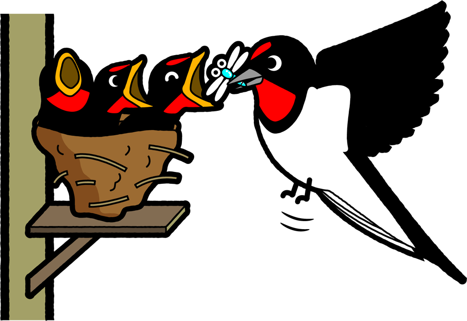 雛に食べ物を運ぶ燕のイラスト2 ツバメ 鳥 素材のプチッチ