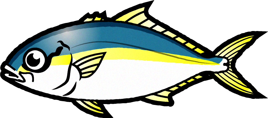 ツムブリのイラスト 海の生き物 魚 素材のプチッチ