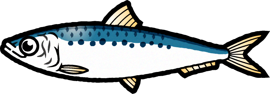 マイワシのイラスト 海の生き物 魚 素材のプチッチ