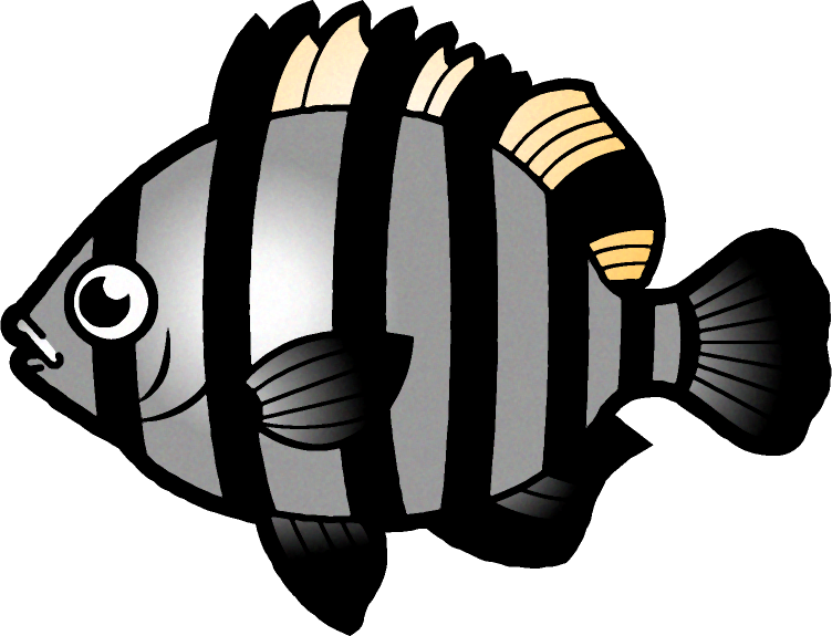 イシダイのイラスト 海の生き物 魚 素材のプチッチ