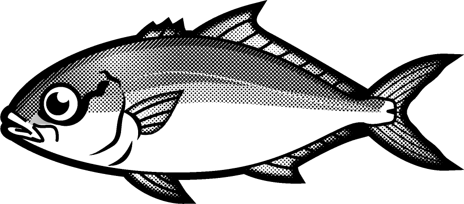 ツムブリのイラスト 海の生き物 魚 素材のプチッチ