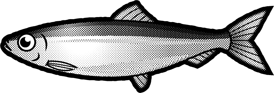 ニシンのイラスト 海の生き物 魚 素材のプチッチ