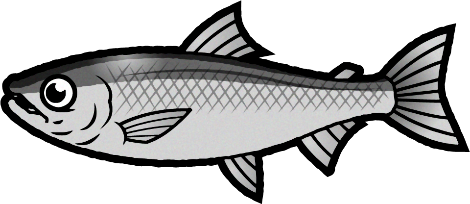 サケのイラスト 海の生き物 魚 素材のプチッチ