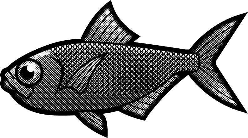 キンメダイのイラスト 海の生き物 魚 素材のプチッチ