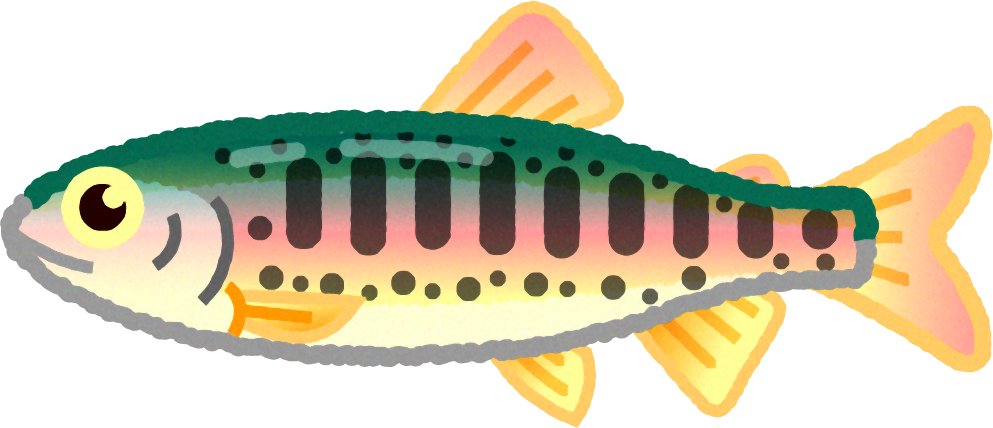 ヤマメのイラスト かわいい魚イラスト 魚 素材のプチッチ