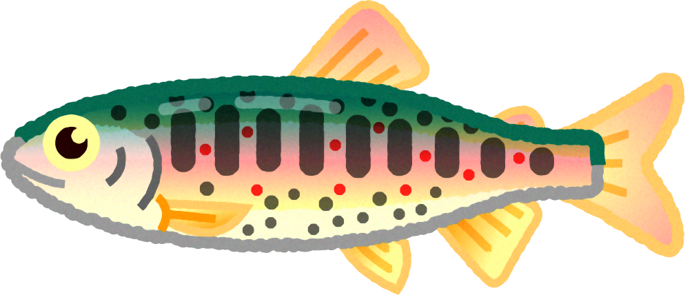 アマゴのイラスト かわいい魚イラスト 魚 素材のプチッチ
