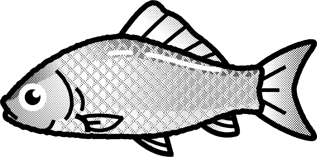 ギンブナのイラスト かわいい魚イラスト 魚 素材のプチッチ