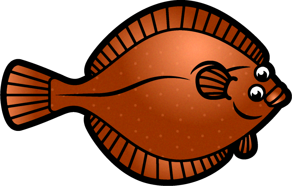 カレイのイラスト 海の生き物 魚 素材のプチッチ