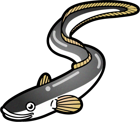日本鰻のイラスト