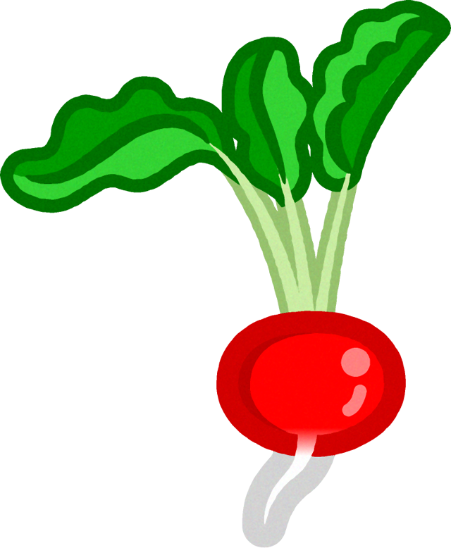 赤カブのイラスト 野菜 食べ物 素材のプチッチ