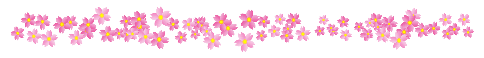 桜の花ライン 罫線イラスト 沢山 桜 4月 ライン 罫線 素材のプチッチ