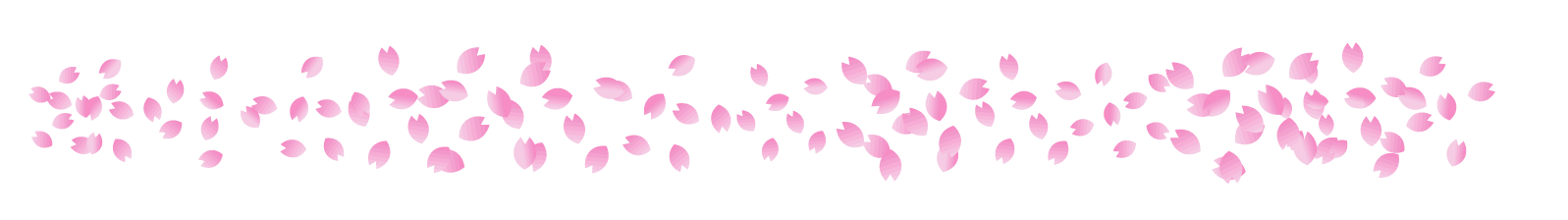 桜の花ライン 罫線イラスト 桜吹雪 桜 4月 ライン 罫線 素材のプチッチ