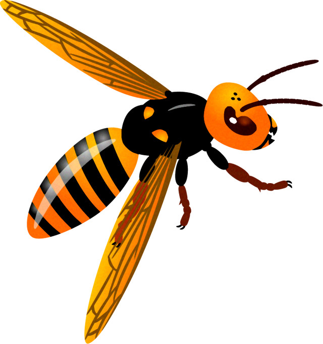 スズメバチのイラスト 斜め 蜂 昆虫 素材のプチッチ