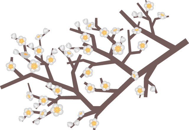 白い梅の花イラスト かわいいフリー素材 無料イラスト 素材のプチッチ