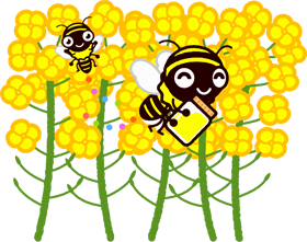 菜の花とミツバチのイラスト