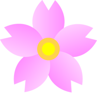桜の花イラスト/花びら１枚づつグラデーション