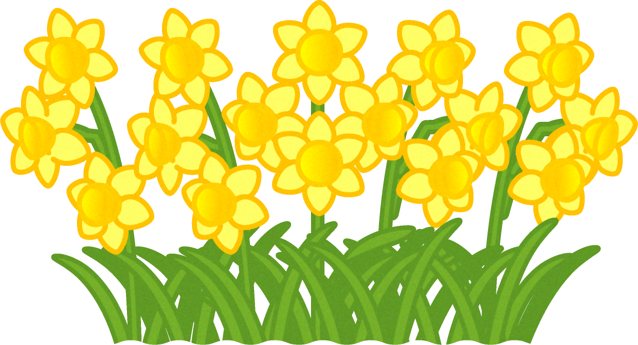 キスイセンの花群生イラスト 4月 季節 素材のプチッチ