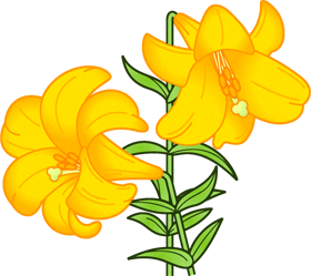 百合の花イラスト 黄色 5月 季節 かわいいフリー素材 素材のプチッチ