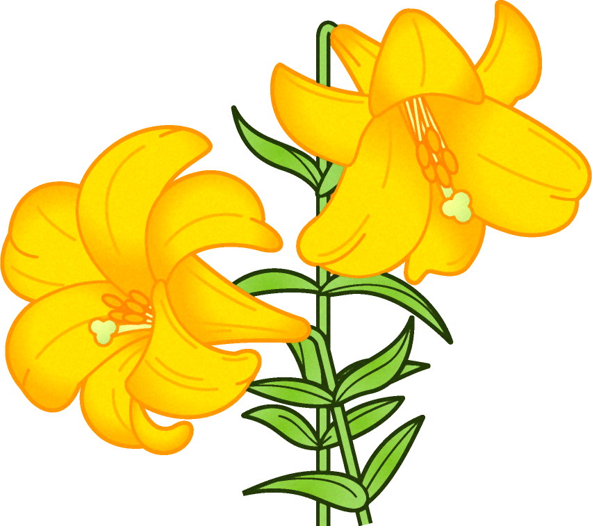 百合の花イラスト 黄色 5月 季節 素材のプチッチ