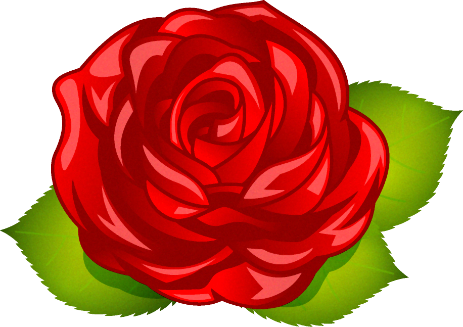 薔薇の花イラスト/赤色