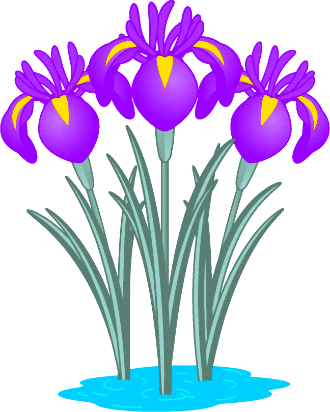 花菖蒲の花イラスト 5月 季節 かわいいフリー素材 素材のプチッチ