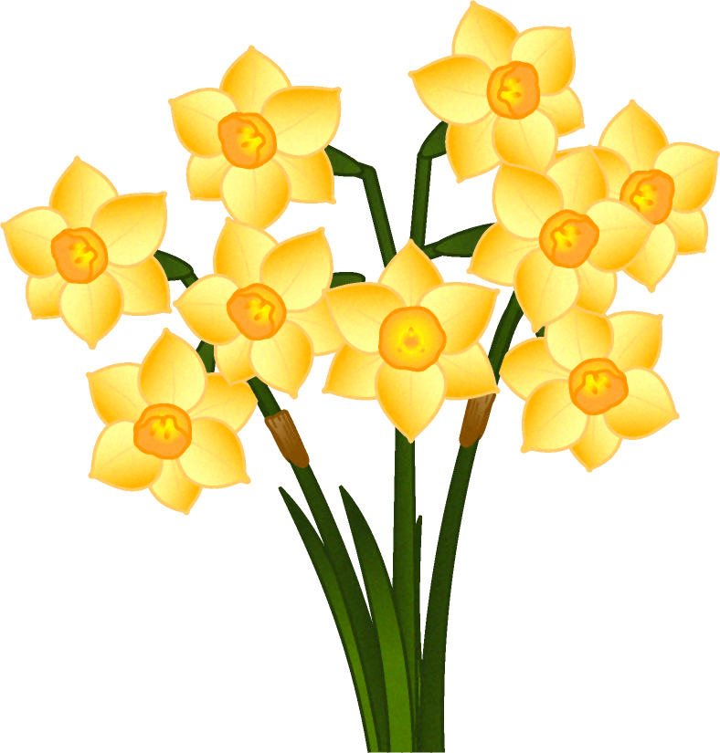 水仙の花イラスト/黄色｜5月｜季節｜かわいいフリー素材、素材のプチッチ