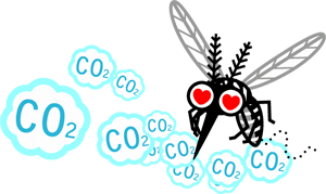 二酸化炭素に惹かれる蚊のイラスト