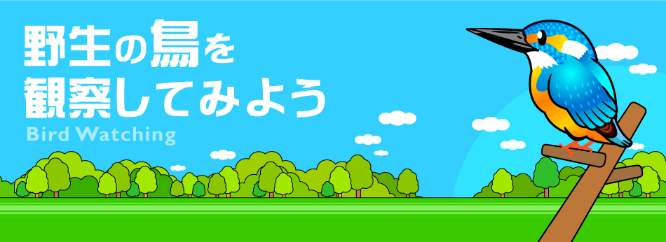 枝にとまるカワセミのイラスト かわいいフリー素材 無料イラスト 素材のプチッチ