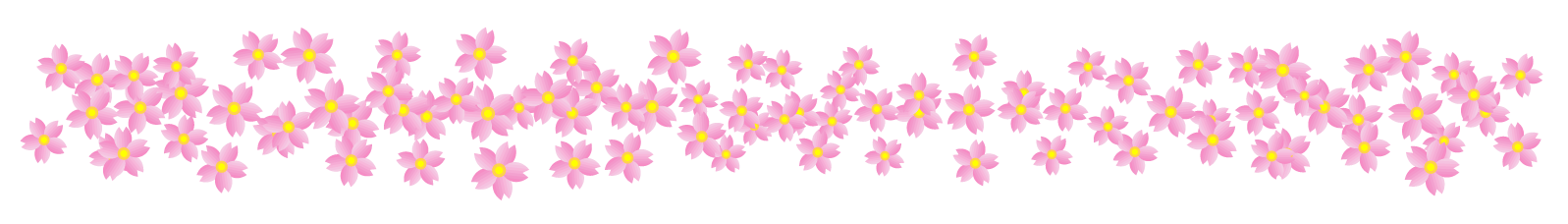 桜の花ライン・罫線イラスト/沢山