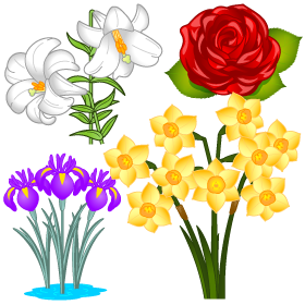 5月の花イラスト