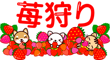 苺狩りの文字イラスト/たくさんの苺